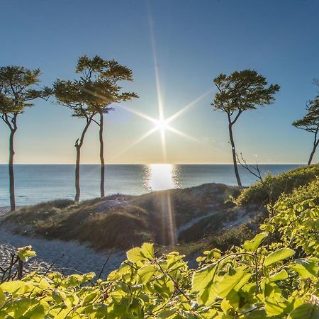 Fewo "Prerow" المظهر الخارجي الصورة